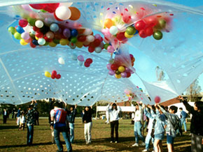 Festi-Baloon