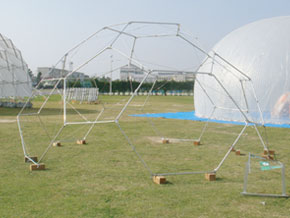 Soccer Ball Dome